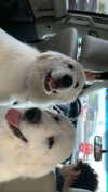 analuvillarreal Altpins Profile Picture