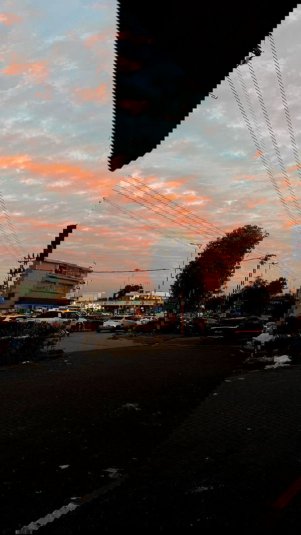 _._dianush._ _._dianush._ archive image