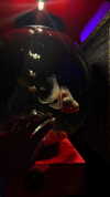 maya.keyy Altpins Profile Picture