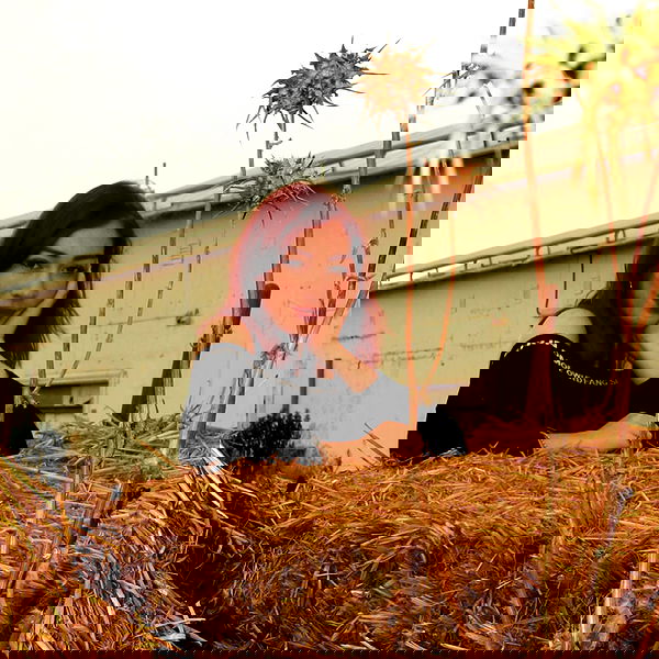 eveliniya eveliniya archive image