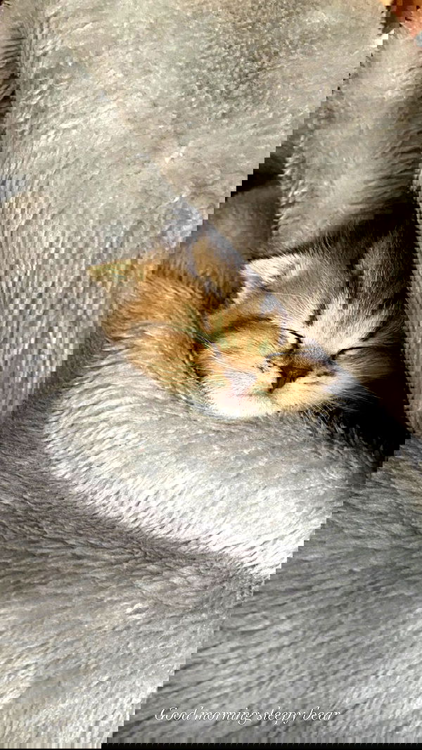 taylor.creeden taylor.creeden archive image