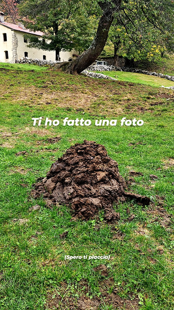 la.vica_ instagram image archive image