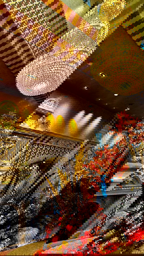 taylor.creeden taylor.creeden archive image