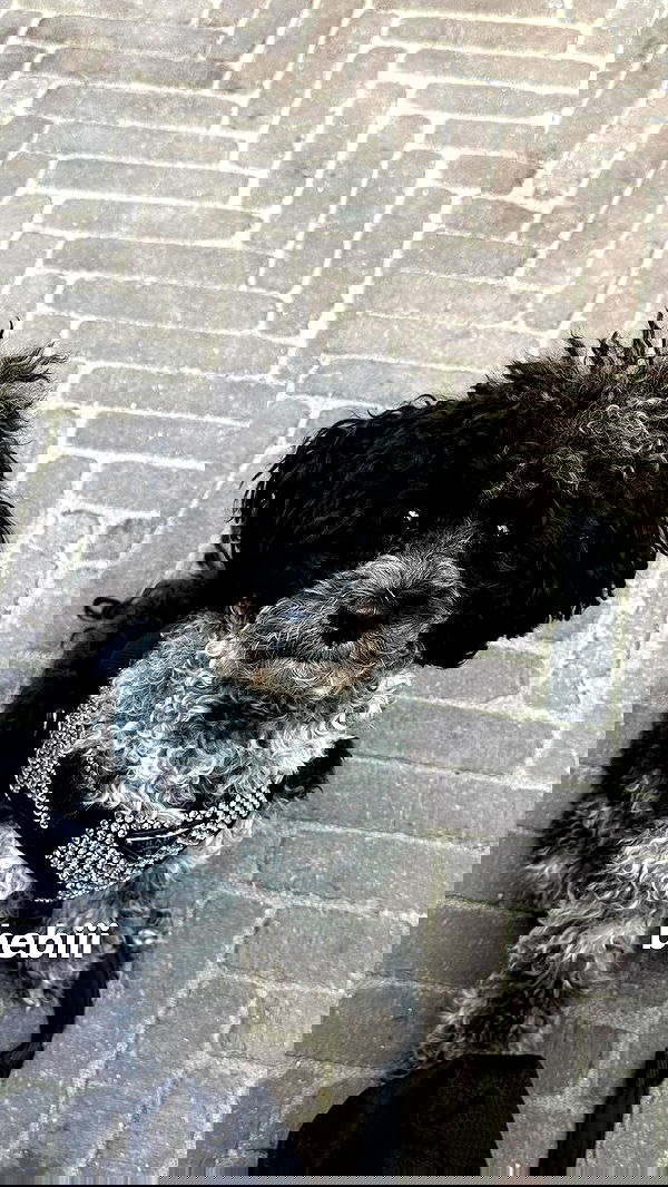 bymonamarie bymonamarie archive image