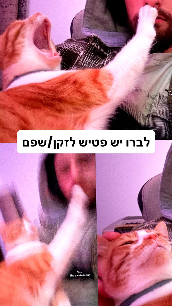 iconic_danik iconic_danik archive image