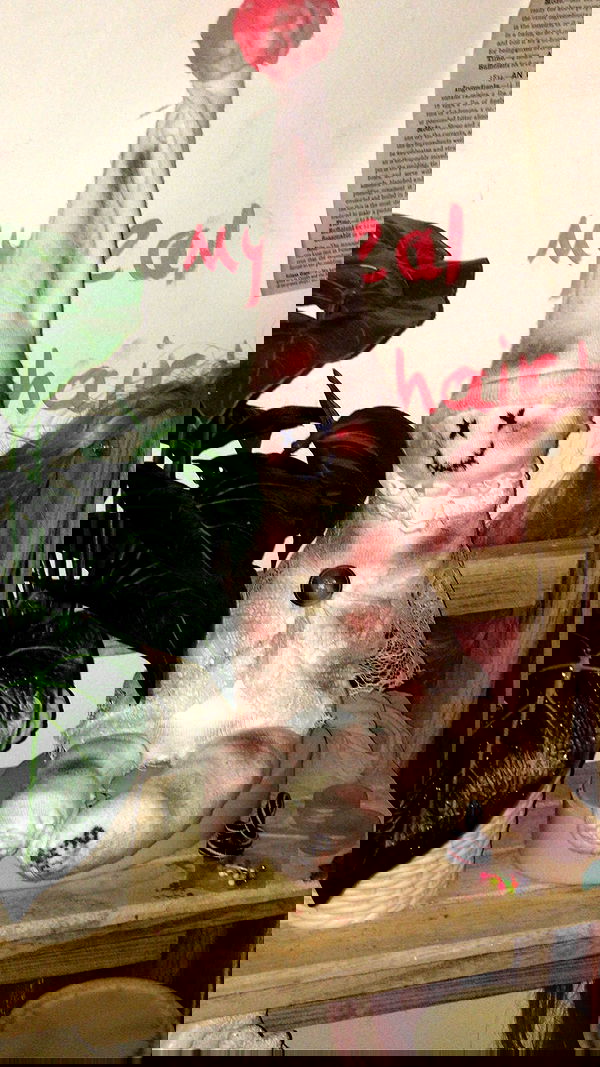 electrixjuggle electrixjuggle archive image