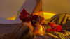 orman.mariee Altpins Profile Picture
