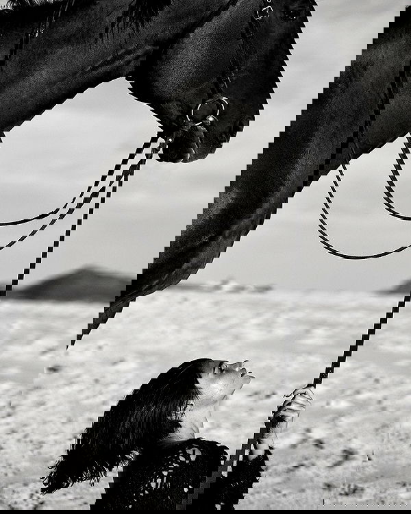 taylor.creeden taylor.creeden archive image