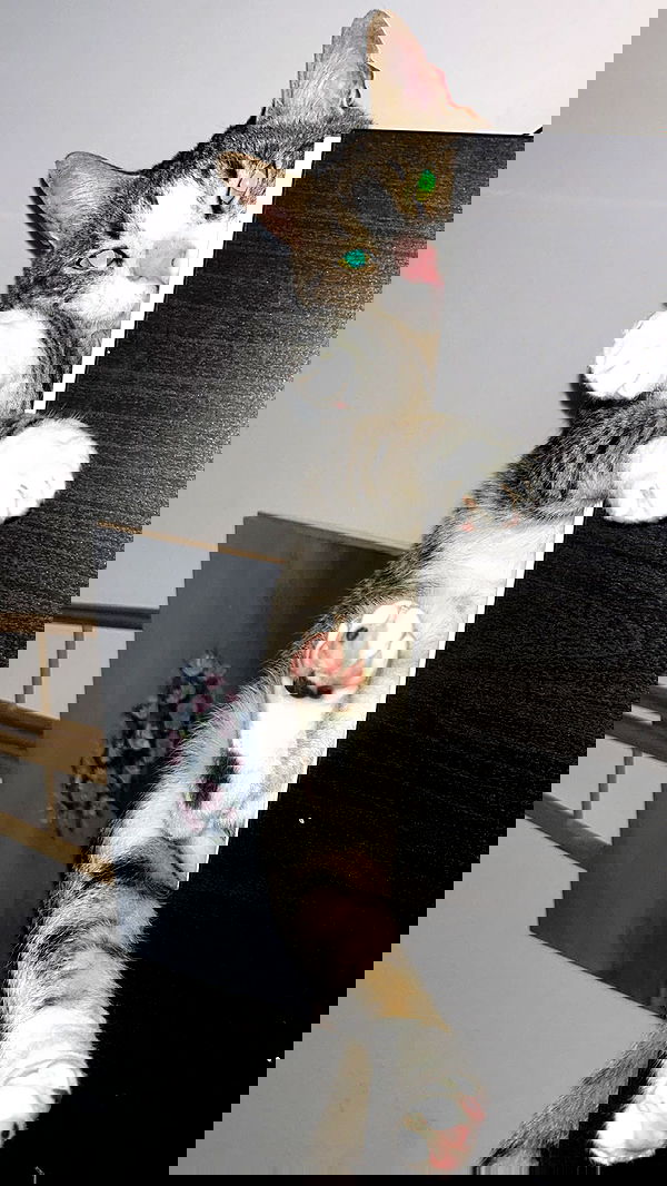 lila.garnik lila.garnik archive image