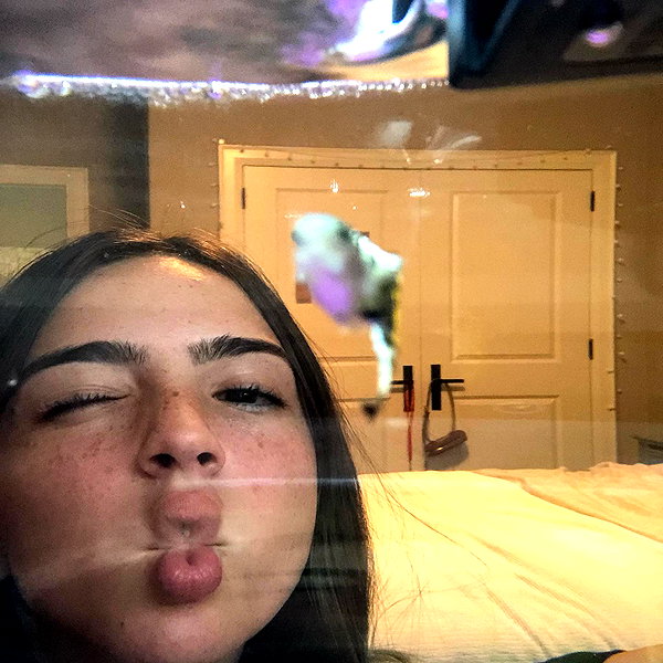 gabrielabee instagram image archive image