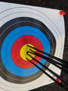 gabbyepstein Altpins Profile Picture