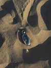 kyliejenner Altpins Profile Picture