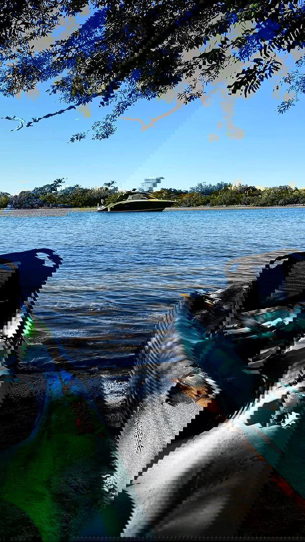 biton__adi biton__adi archive image