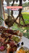 dekota_thompson Altpins Profile Picture