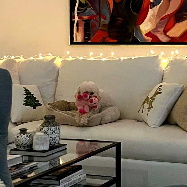 camimendes instagram image archive image