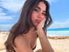 ainaratorneg Altpins Profile Picture