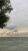 solzarubin_ Altpins Profile Picture