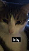malmalirl Altpins Profile Picture