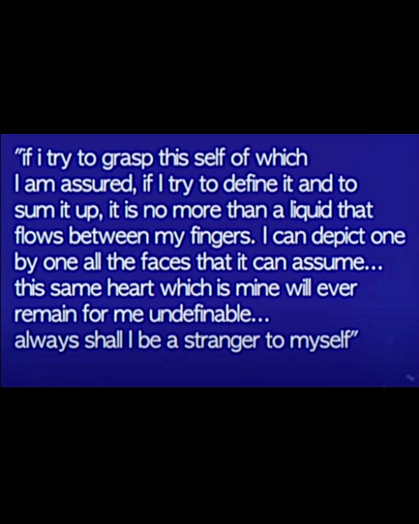 bugz4brainz instagram image archive image