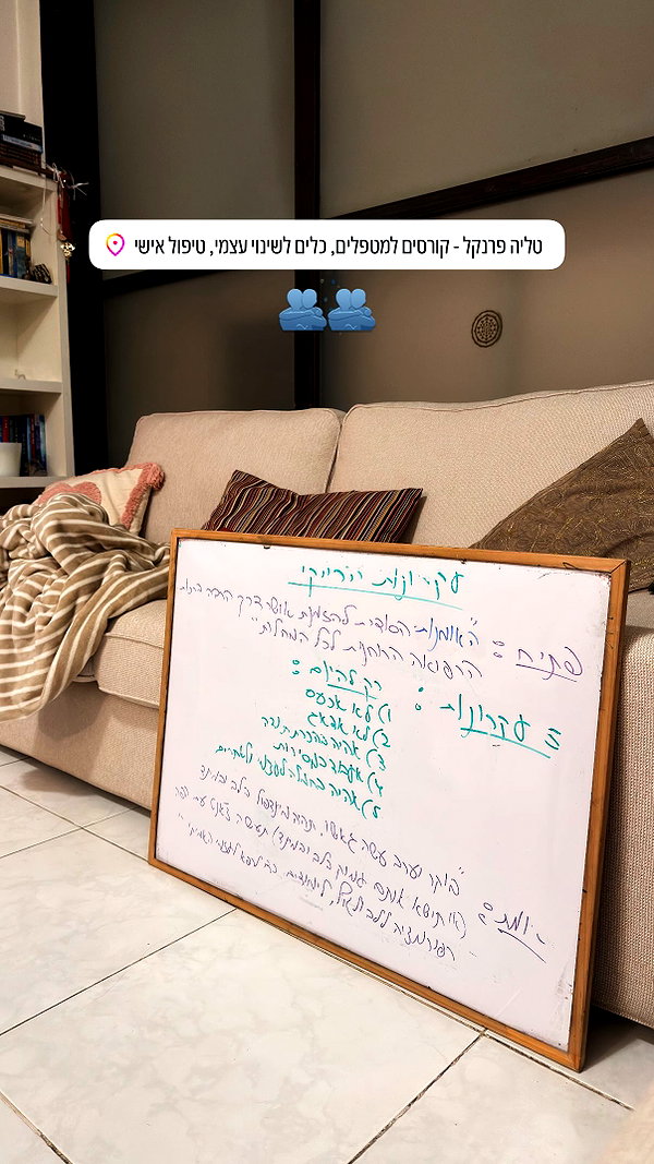 shellydekel instagram image archive image