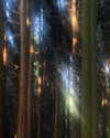 marilyn_damaged Altpins Profile Picture