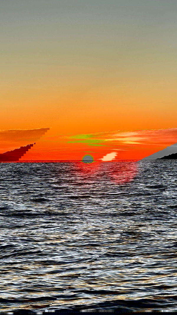 taylor.creeden taylor.creeden archive image