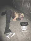 angelwithashotgunxx Altpins Profile Picture