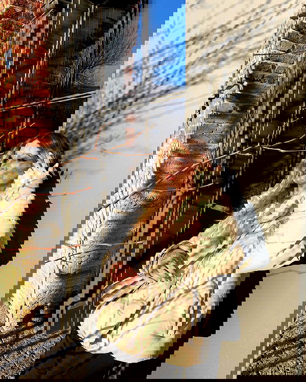 pinx_ir pinx_ir archive image