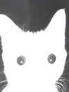 ellaexplicit_ Altpins Profile Picture