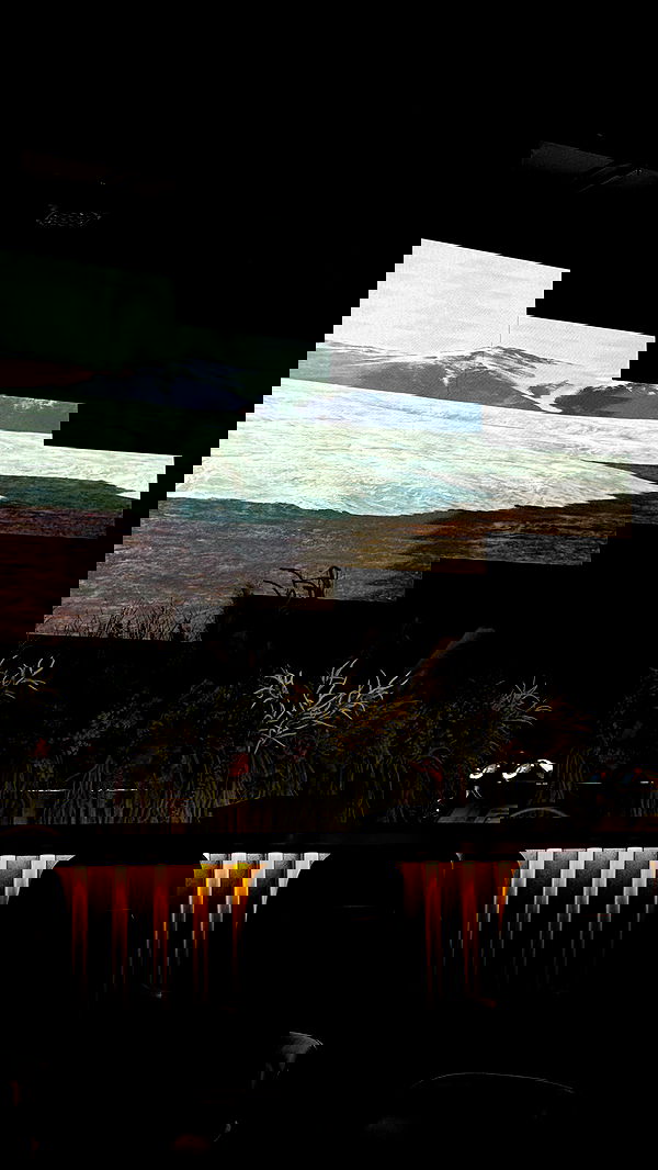 pollcherri pollcherri archive image