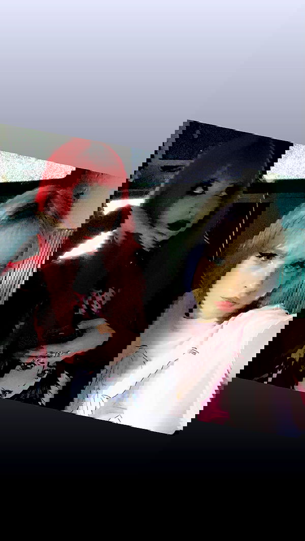 silkton silkton archive image