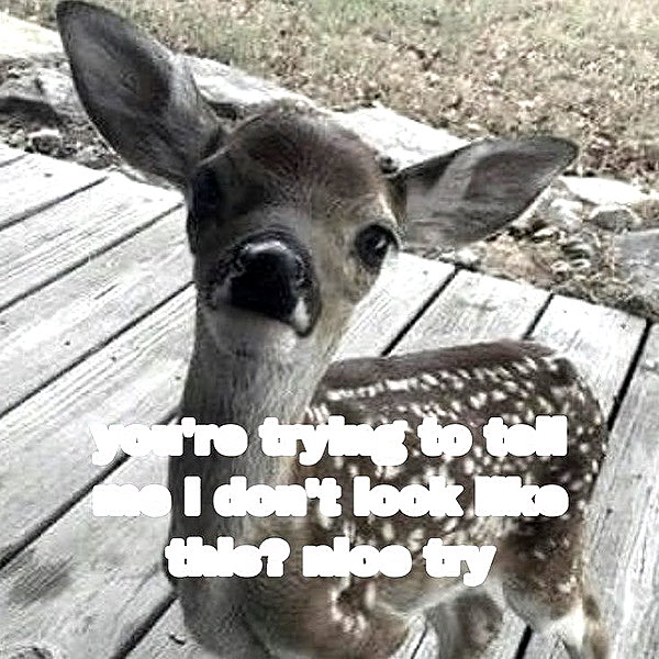 1uvgabi instagram image archive image