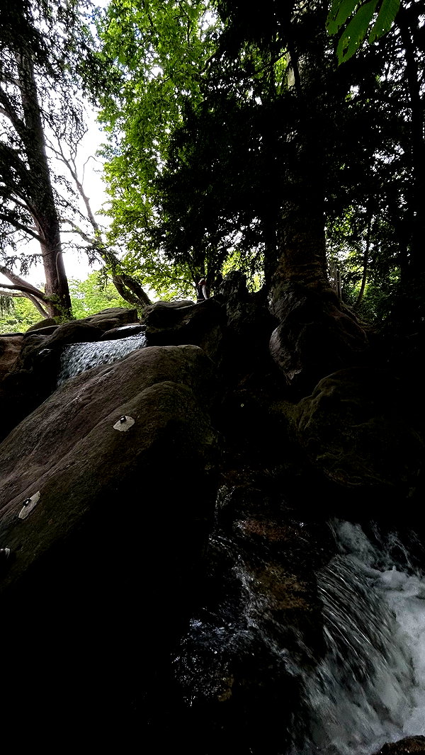 orman.mariee archive image