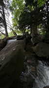 orman.mariee Altpins Profile Picture