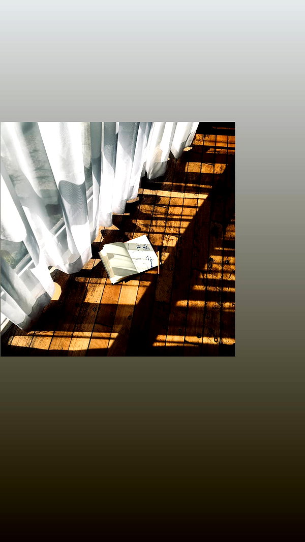 shulunc instagram image archive image