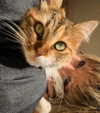 _femalien Altpins Profile Picture