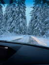 cialikechia Altpins Profile Picture