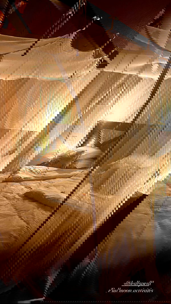 taylor.creeden taylor.creeden archive image