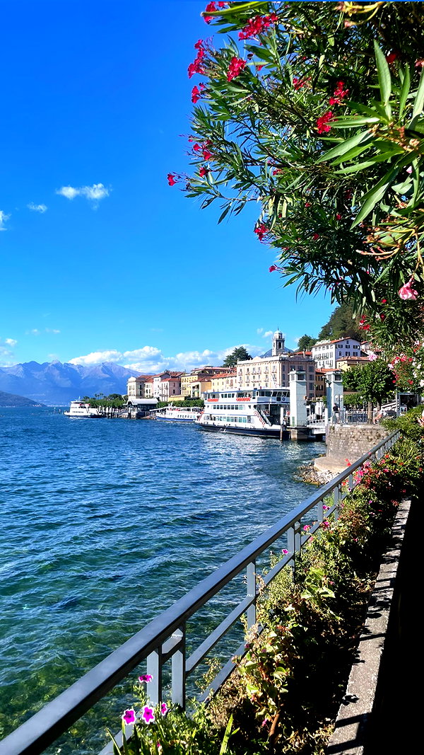lollinski lollinski archive image