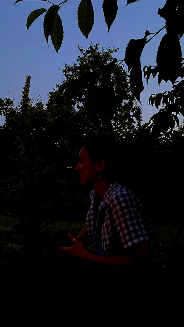 mollieruck instagram image archive image