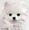 1uvgabi Altpins Profile Picture