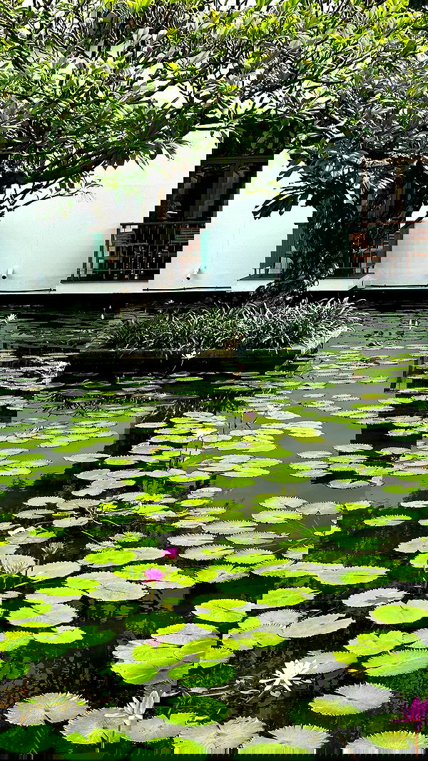 taylor.creeden taylor.creeden archive image