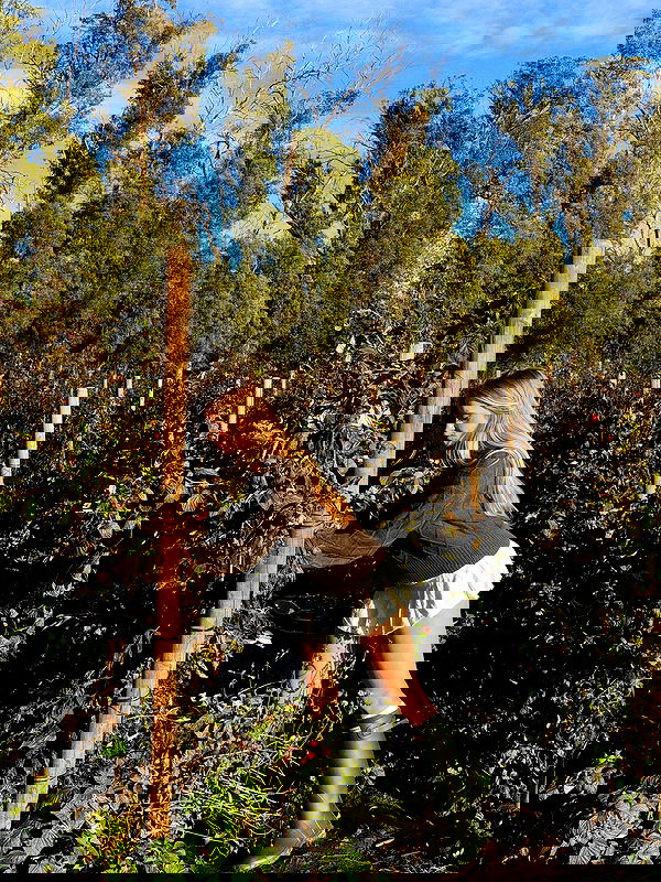 carolinezalog carolinezalog archive image