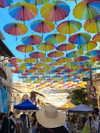 libby_reut Altpins Profile Picture