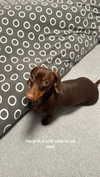 maya.keyy Altpins Profile Picture