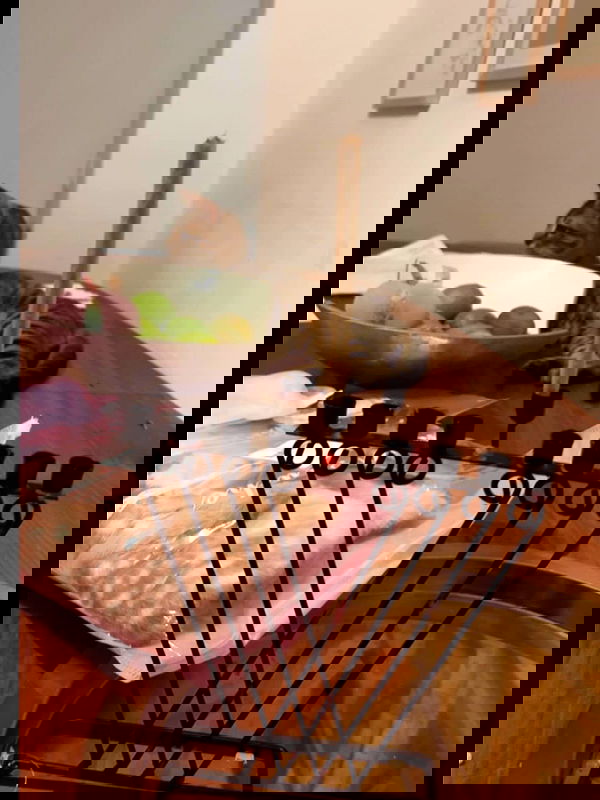 tutiiiiii666 tutiiiiii666 archive image