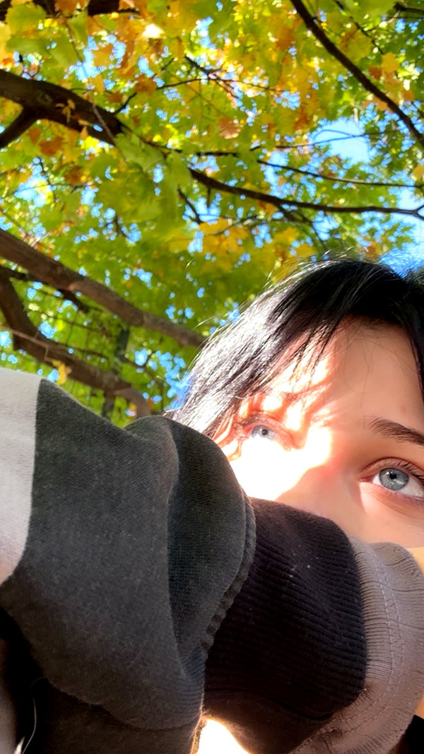 liashaked instagram image archive image