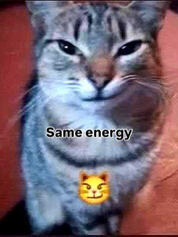 milkibunshehe instagram image archive image