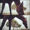 gigihadid Altpins Profile Picture