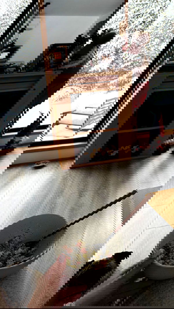 nyityam nyityam archive image